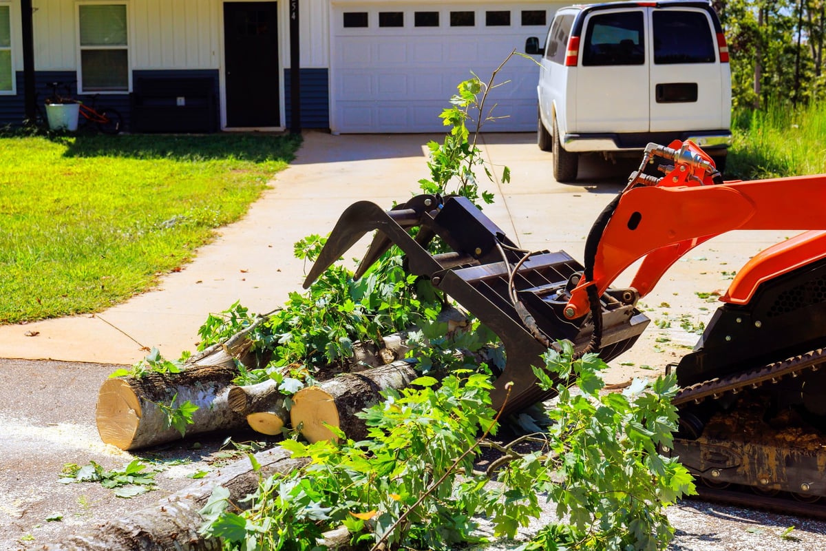 Storm debris and tree branches being removed from residential yard